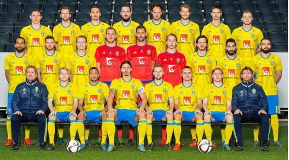 2004欧洲杯瑞典：坚韧不拔的北欧雄狮